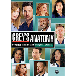 Greys Anatomy-9th Season