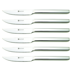 Stainless Steel 6pc Steak Knife Set