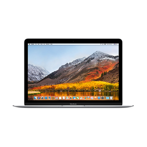 12" MacBook 1.2GHz Dual-Core 256GB Flash Silver