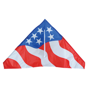 Premier Kite Patriotic Delta Kite
