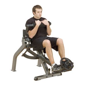 Body-Solid Semi-Recumbant Dual Ab Bench