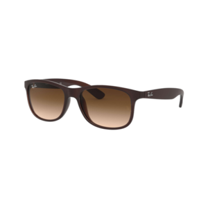Ray-Ban RB4202 Andy Sunglasses