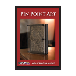 Tedco Toys Pin Point Art