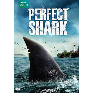 Perfect Shark