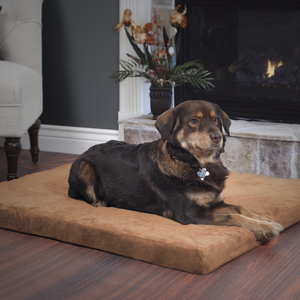 PAW Orthopedic Super Foam Pet Bed - Large