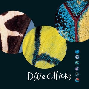 Fly - Dixie Chicks