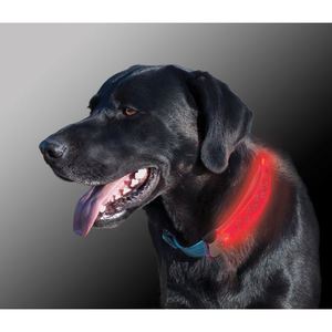 Nite Dawg LED Collar Cover, grey, two pack
