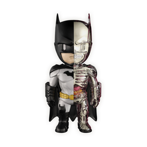 4D Master 4D XXRAY - DC Justice League Comics: Batman