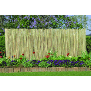 Reed Natural Fencing 13ft x 6ft