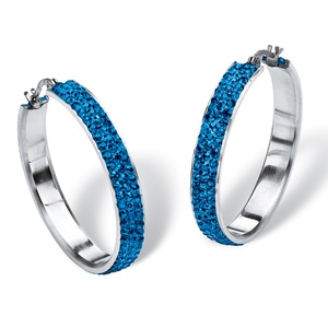 PalmBeach Jewelry Pave Birthstone Hoop Earrings in Stainless Steel