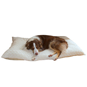PAW Lavish Cushion Pillow Furry Pet Bed - Latte - Small