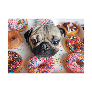 Willow Creek Press Doug the Pug Jigsaw Puzzle: 1000 Pcs