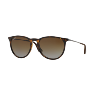 Ray-Ban RB4171 Polarized Erika Classic Sunglasses