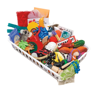 Primary Concepts Alphabet Objects Set