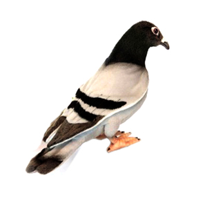 hansa Pigeon Plush