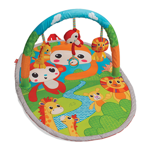 Explore & Store Activity Gym Ages 0+ Months