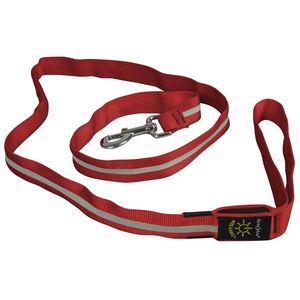 Nite Dawg Pet Leash