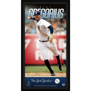 Didi Gregorius New York Yankees 10x20 Player Profile with Game Used Jersey Swatch