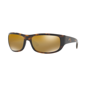 Ray-Ban Polarized Chromance Sunglasses