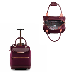 Albany Wheeled Business Case